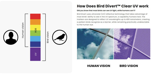 'How Does Bird Divert Clear UV work' comparing human and bird vision with a vertical color spectrum bar and a purple-toned UV filter sample. The left side shows human and bird silhouettes beside the spectrum, and the right side shows the UV-filter material with labeled human and bird vision panels.